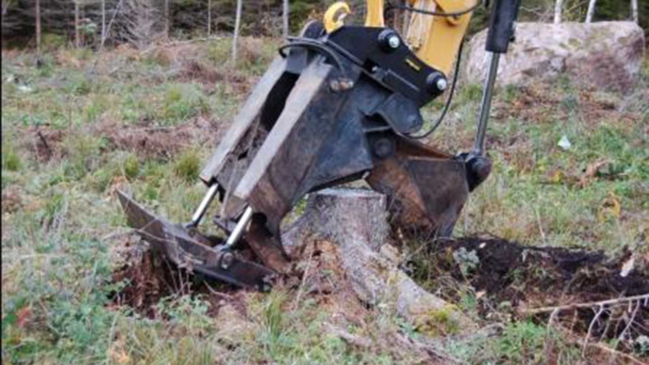 Stump Excavator In Glasgow