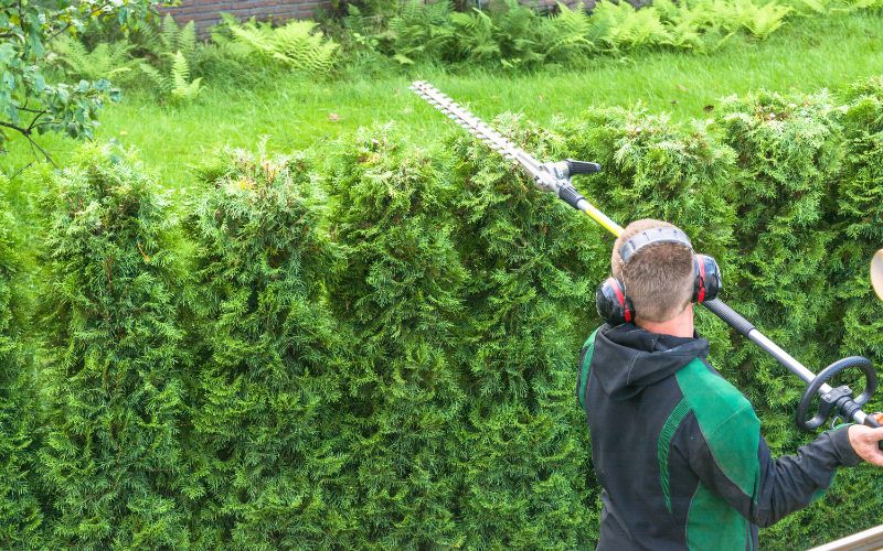 7 Benefits of Hedge Trimming You Would Want to Know