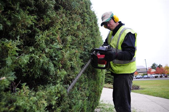 Hedge Maintenance Frequency