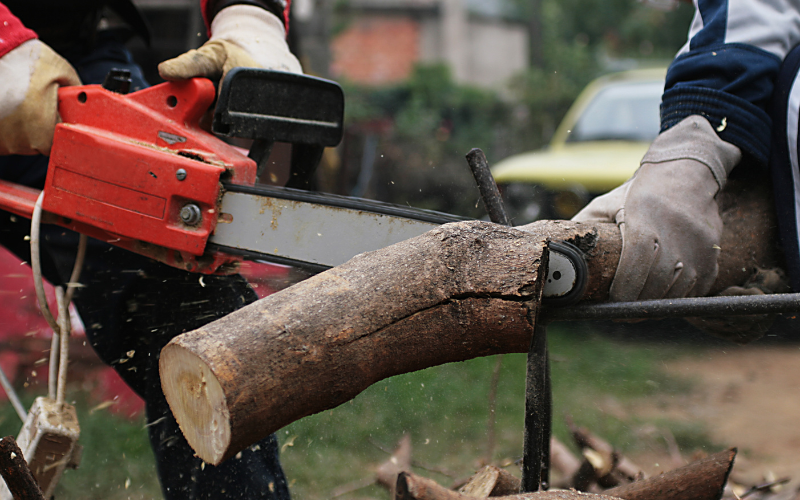 Giffnock Tree Surgeons