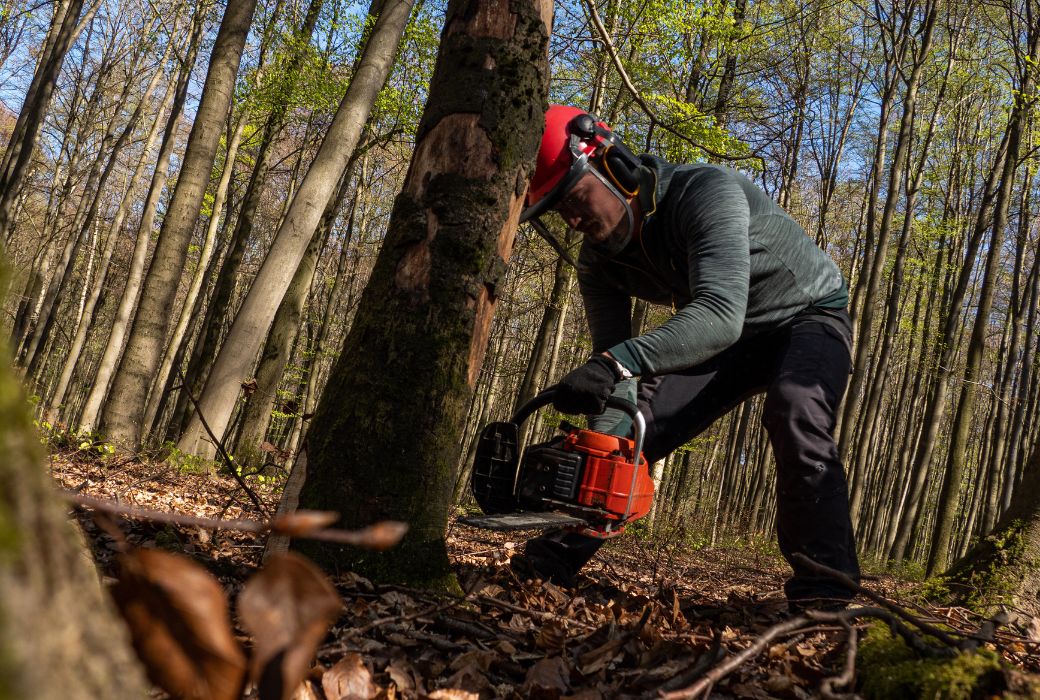 Morningside Tree Surgeons