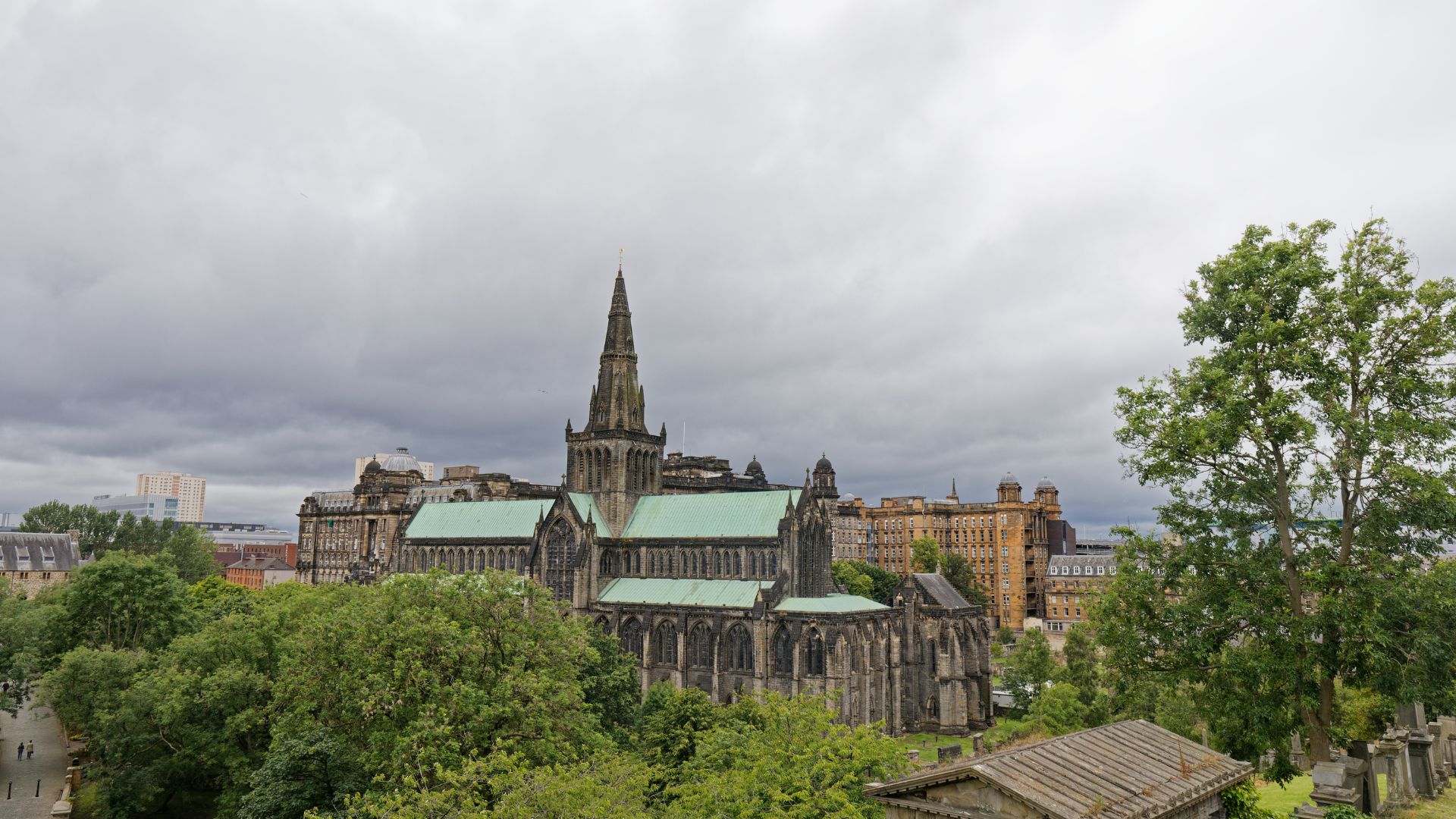 ecological-survey-glasgow