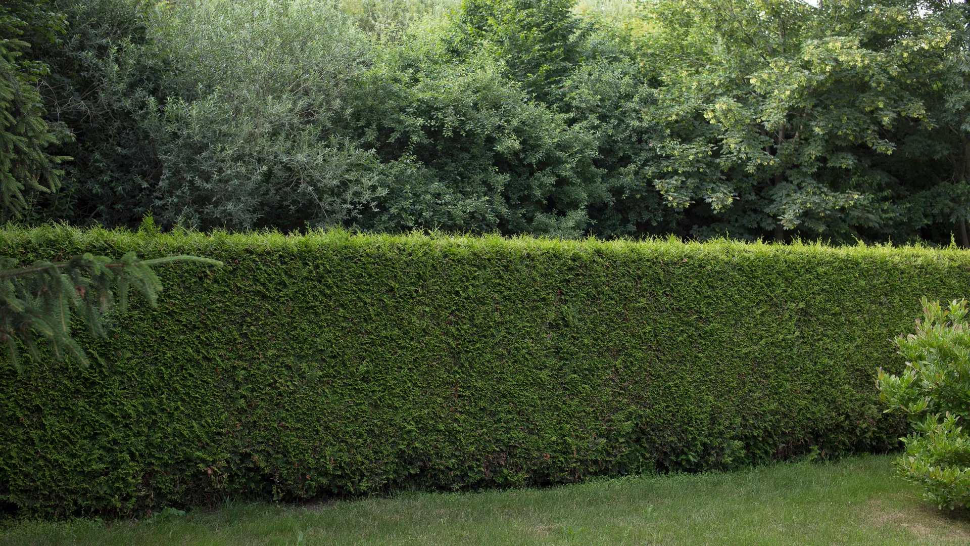 Arb Dir Glasgow Fencing Contractor
